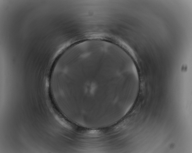 X0000100370059200807031911