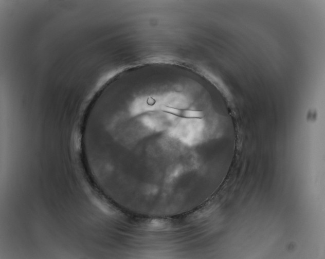 X0000100370060200807031911