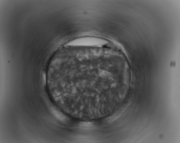 X0000100370061200807031911