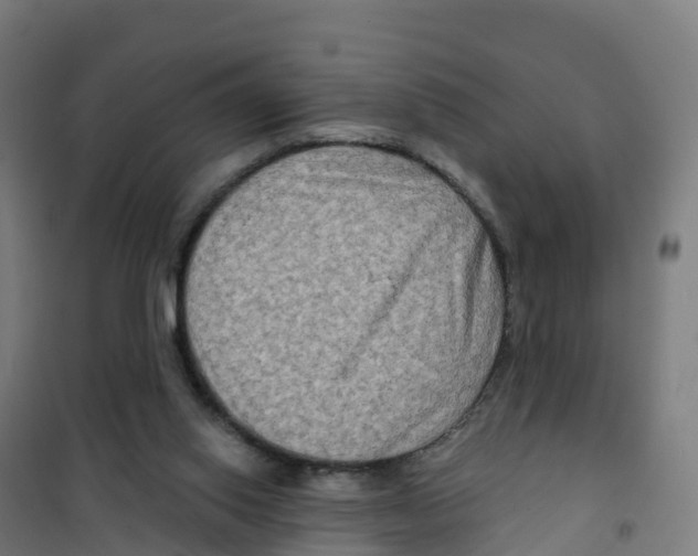 X0000100370062200807031911