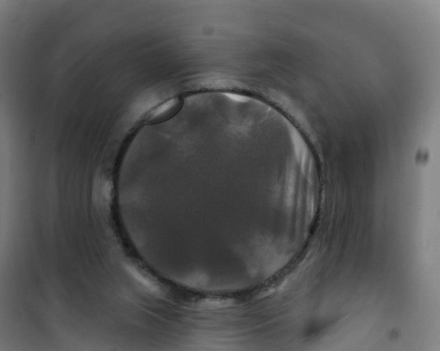 X0000100370063200807031911