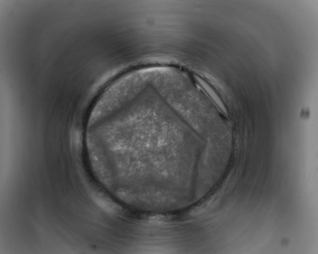 X0000100370064200807031911