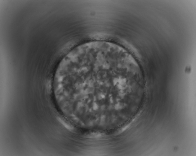 X0000100370065200807031911