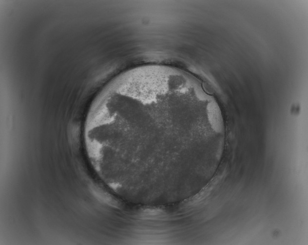 X0000100370066200807031911