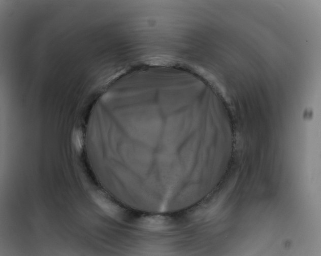 X0000100370069200807031912