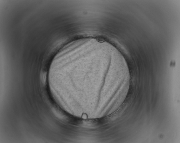 X0000100370070200807031912