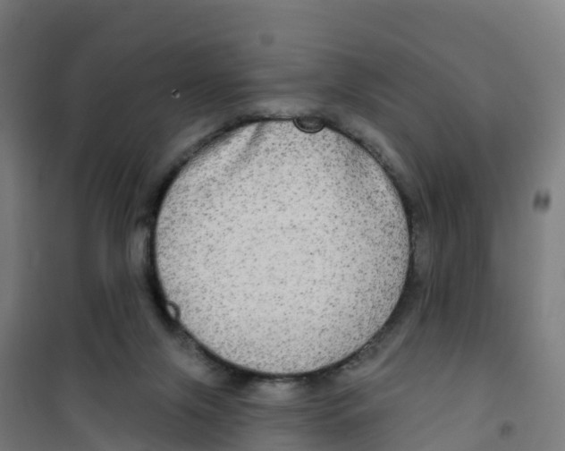 X0000100370071200807031912