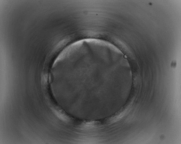 X0000100370072200807031912