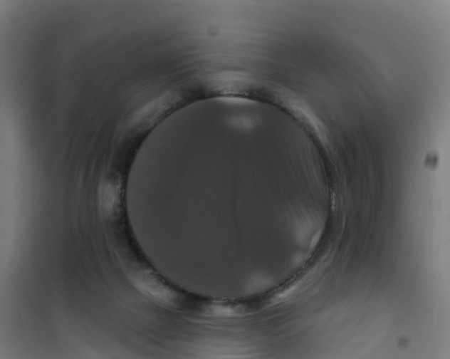 X0000100370073200807031912