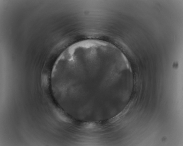 X0000100370074200807031912