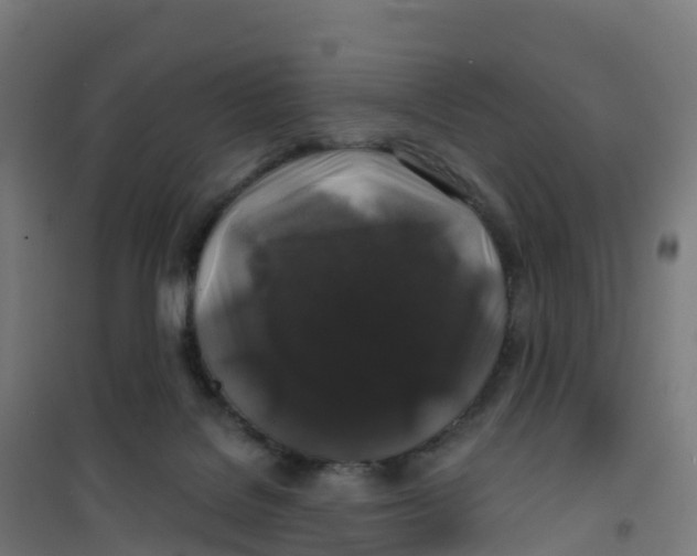 X0000100370076200807031912