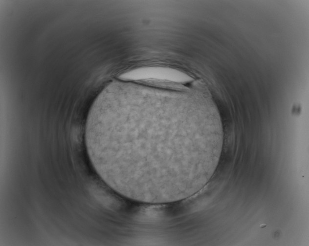 X0000100370078200807031912