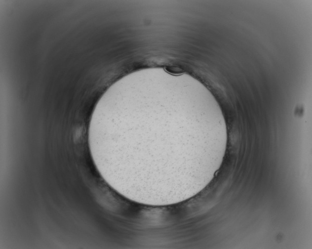 X0000100370079200807031912