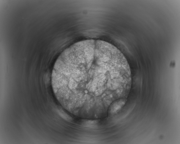 X0000100370081200807031912