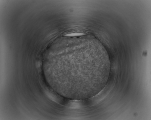 X0000100370082200807031912