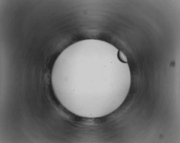 X0000100370083200807031912