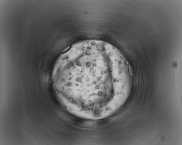 X0000100370084200807031912