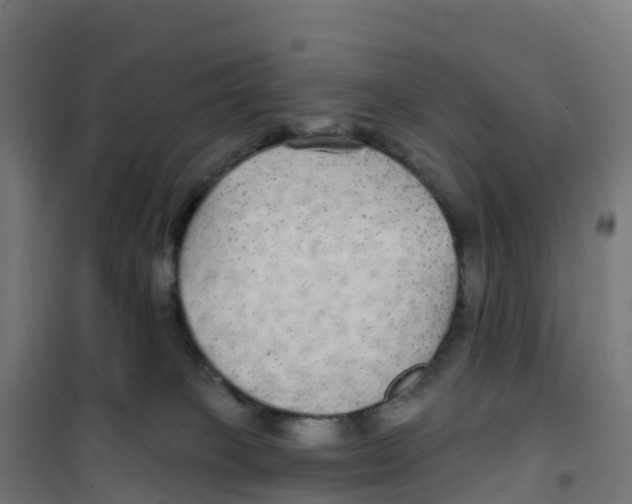 X0000100370085200807031912