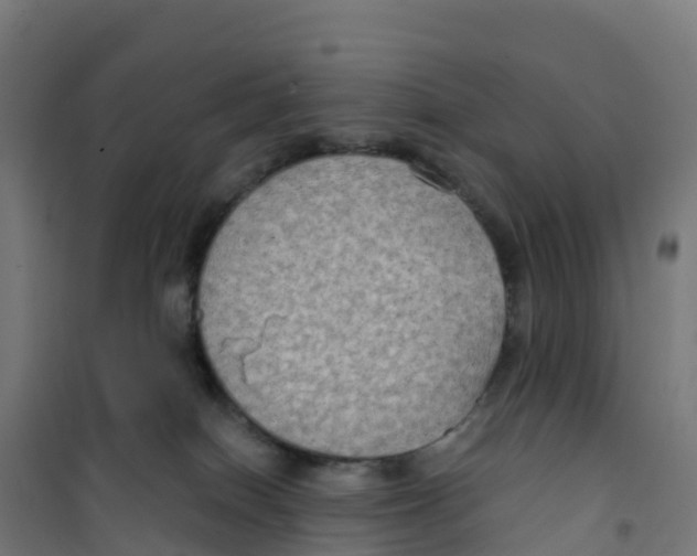 X0000100370086200807031912