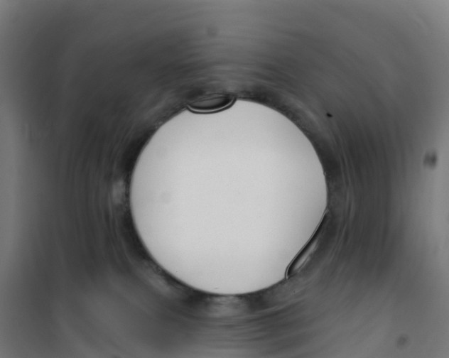 X0000100370087200807031912