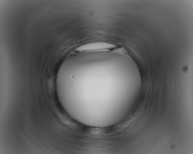 X0000100370088200807031912