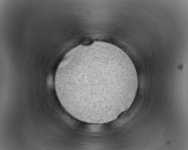 X0000100370089200807031912