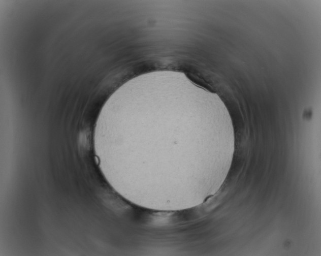 X0000100370090200807031912