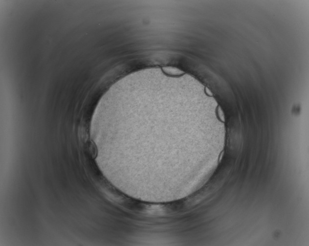 X0000100370091200807031912