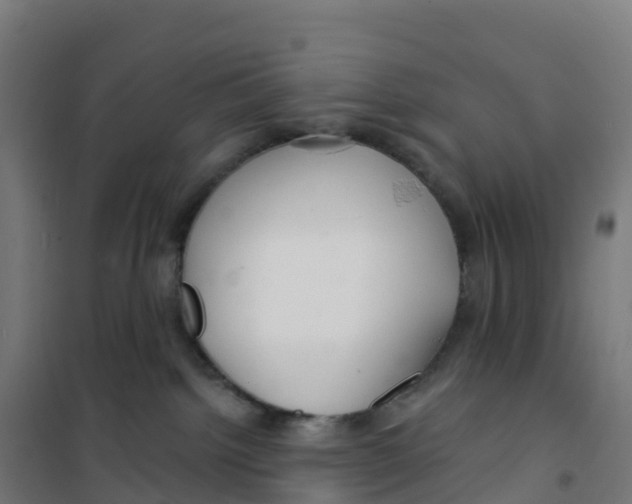 X0000100370092200807031912