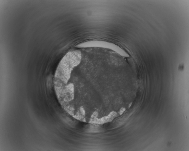 X0000100370093200807031912