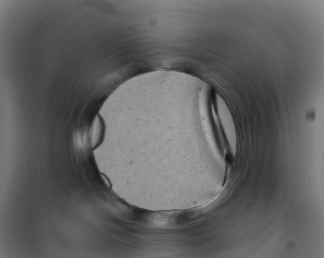 X0000100370094200807031912