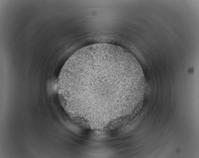 X0000100370095200807031912