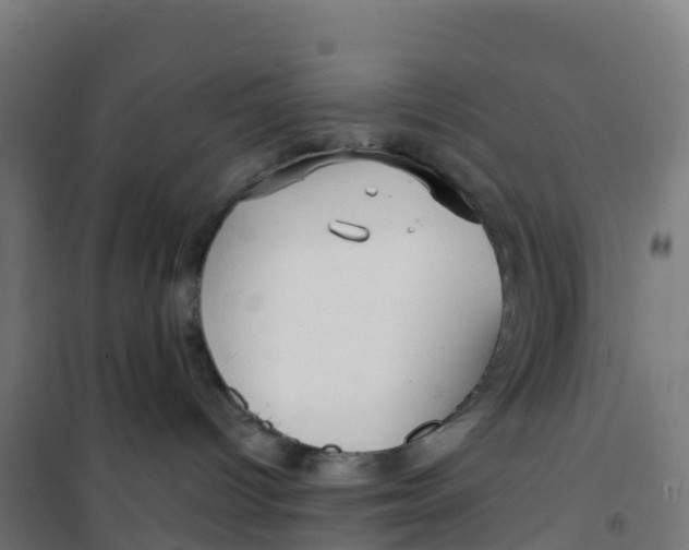 X0000100370096200807031912