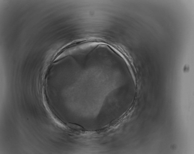 X0000100370097200807031911