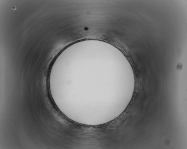 X0000100370098200807031911