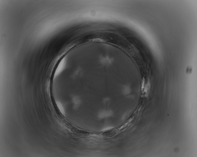 X0000100370099200807031911