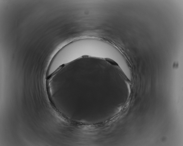 X0000100370100200807031911