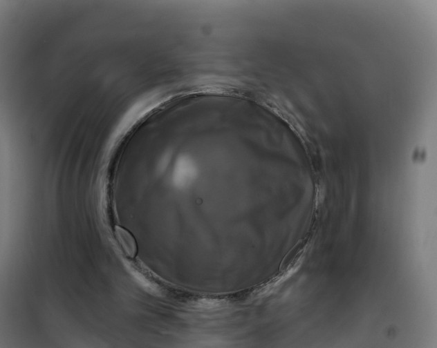 X0000100370101200807031911