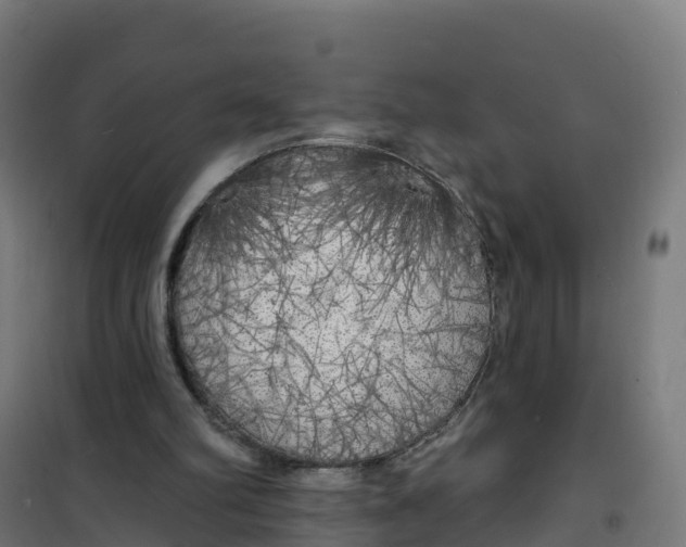 X0000100370102200807031911
