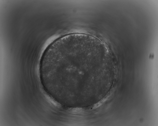 X0000100370104200807031911