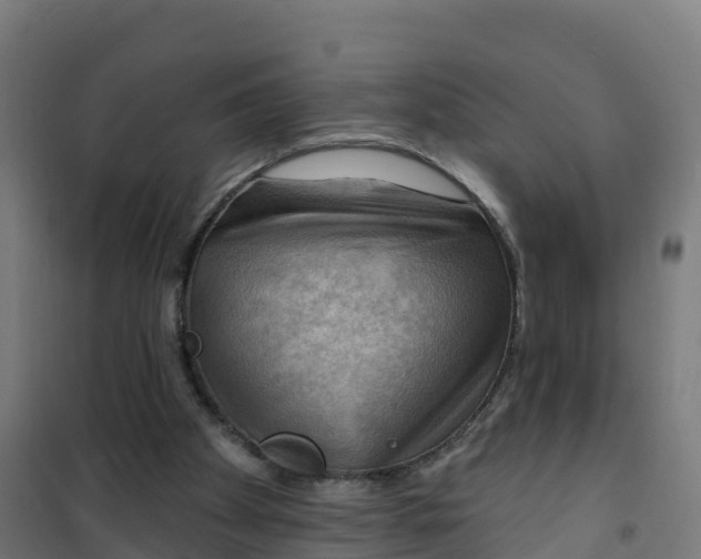 X0000100370105200807031911