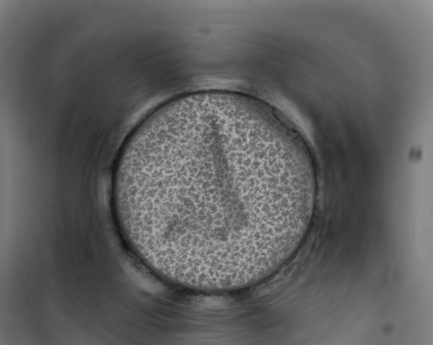 X0000100370107200807031911