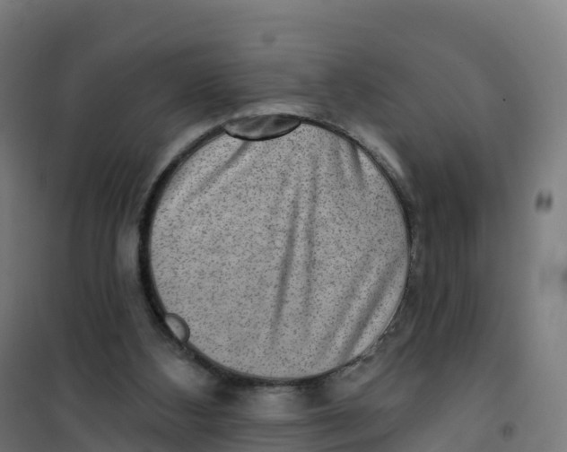 X0000100370108200807031911