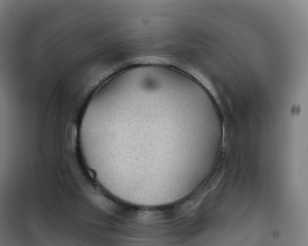 X0000100370109200807031911