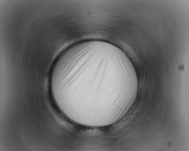 X0000100370112200807031911