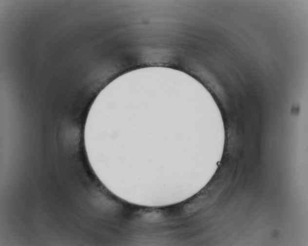 X0000100370113200807031911