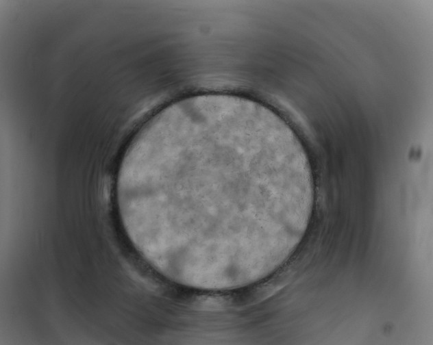 X0000100370115200807031911