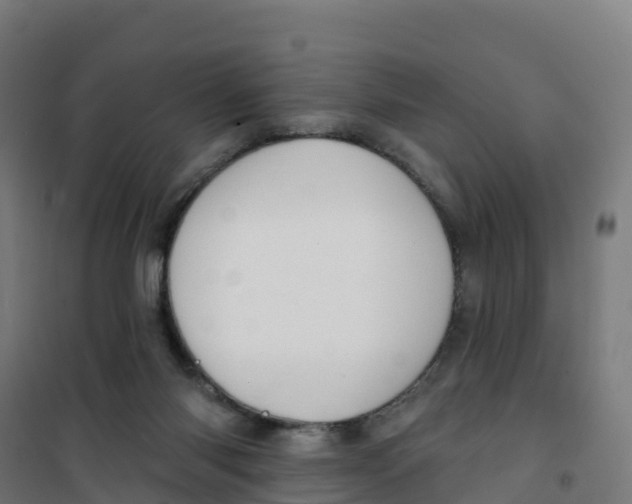 X0000100370118200807031911