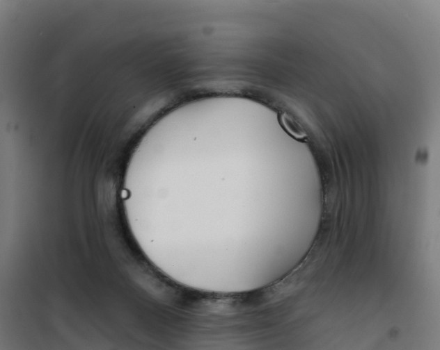 X0000100370120200807031911