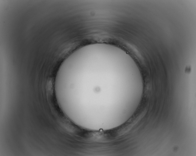 X0000100370121200807031911